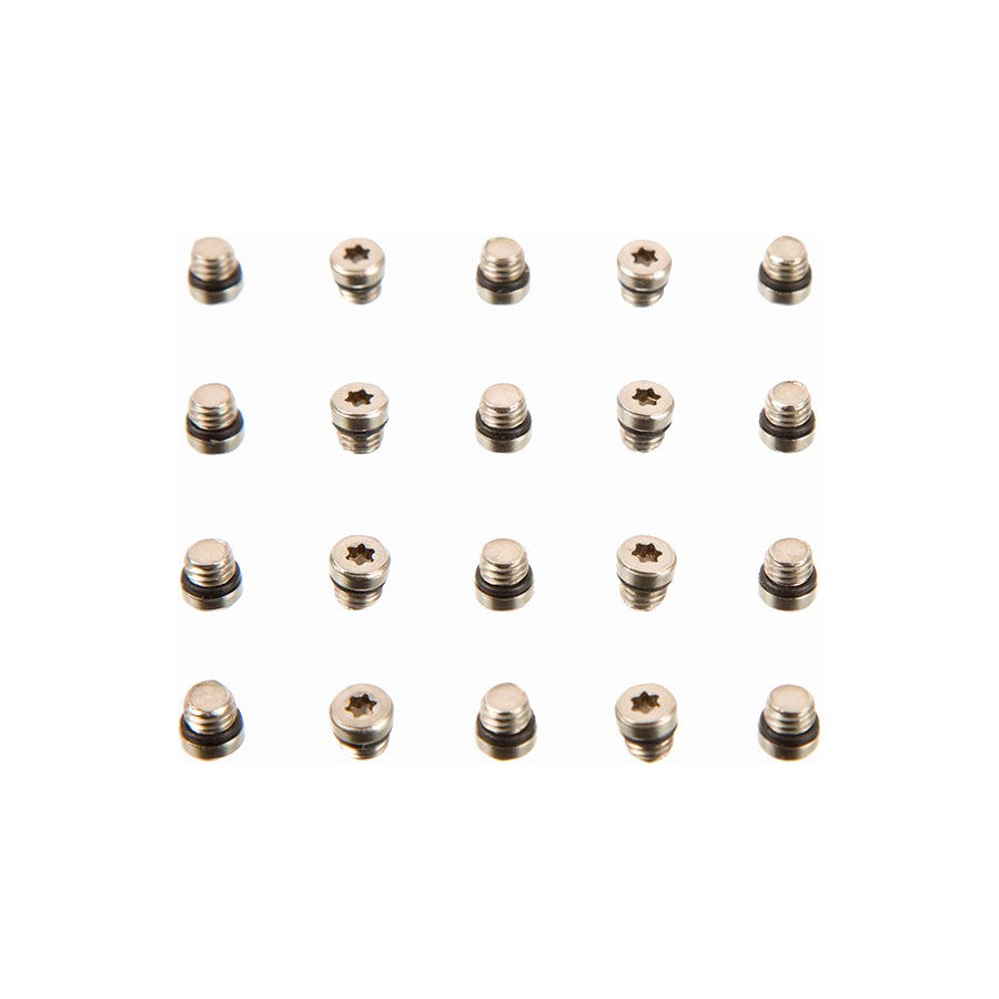 SRAM Lever Bleed Screw 20pcs