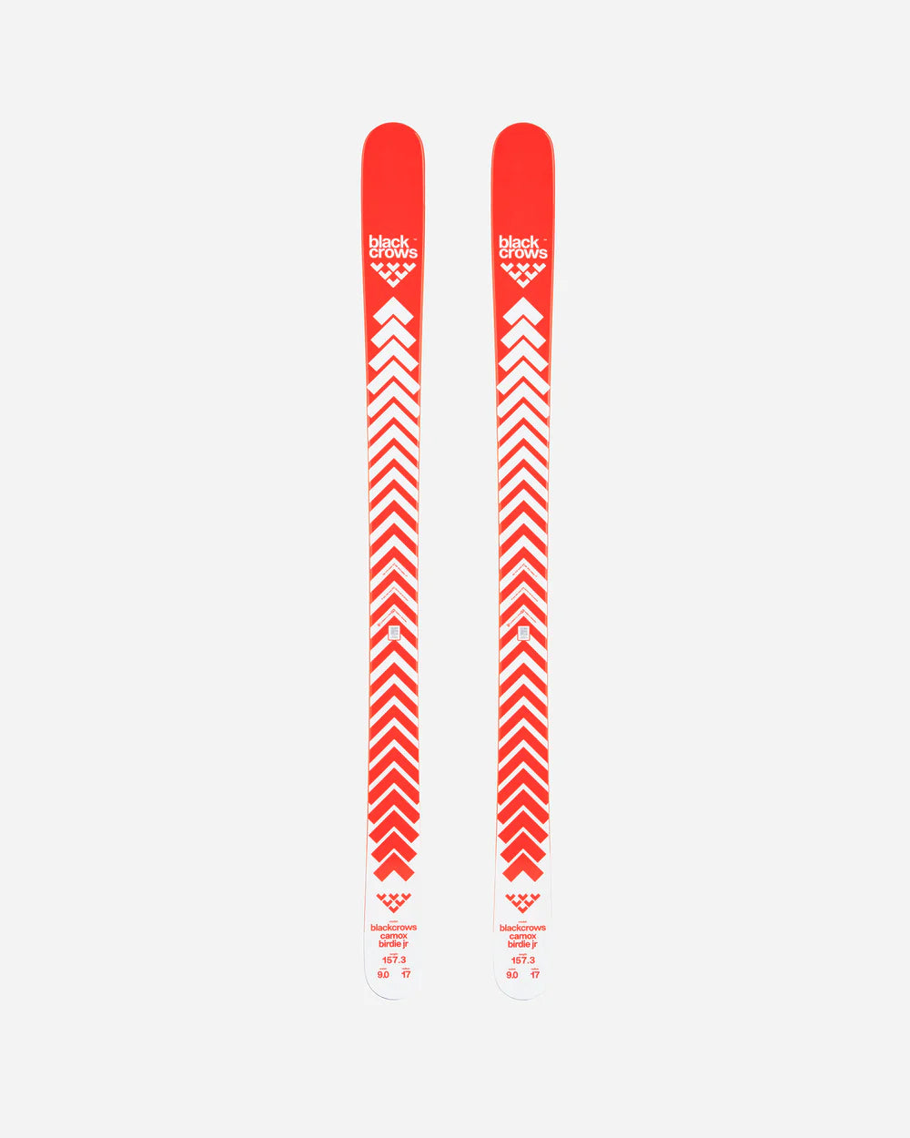 2026 camox birdie jr Ski