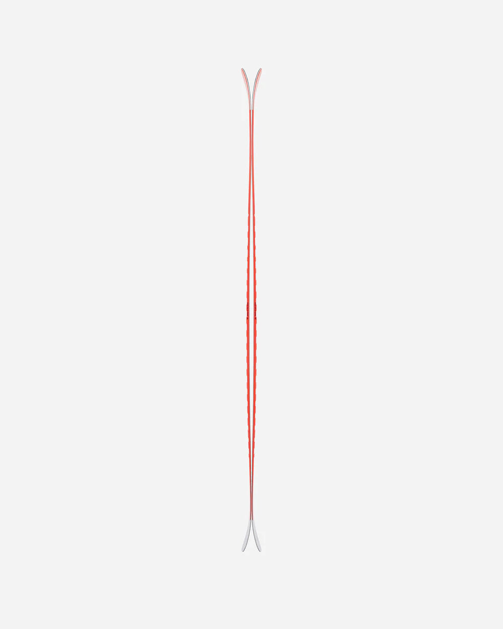 2026 camox birdie jr Ski