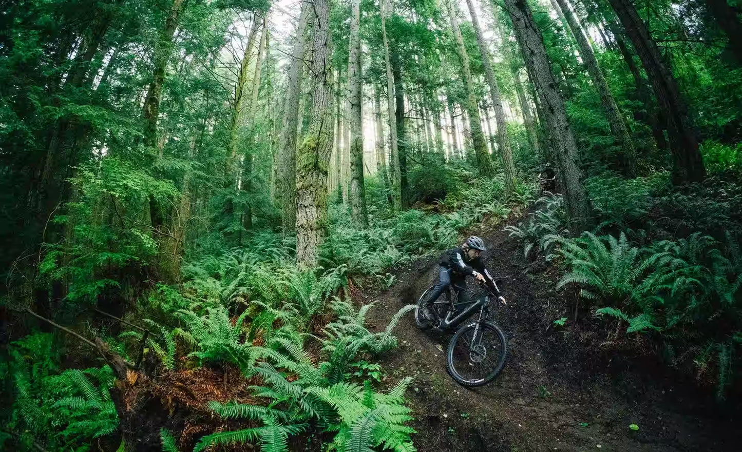 Relay 160mm & 170mm 29" & Mixed Wheels