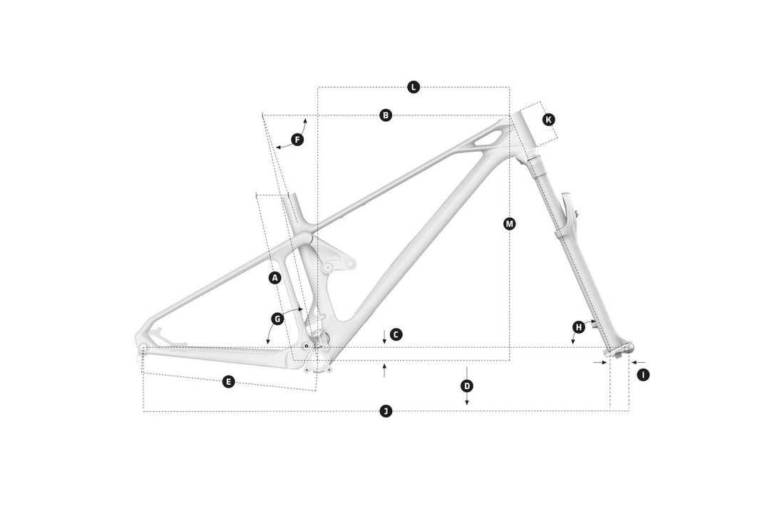2026 Mondraker Foxy Carbon RR Bike