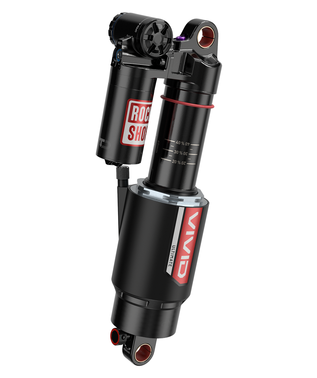 Vivid Ultimate DH RC2