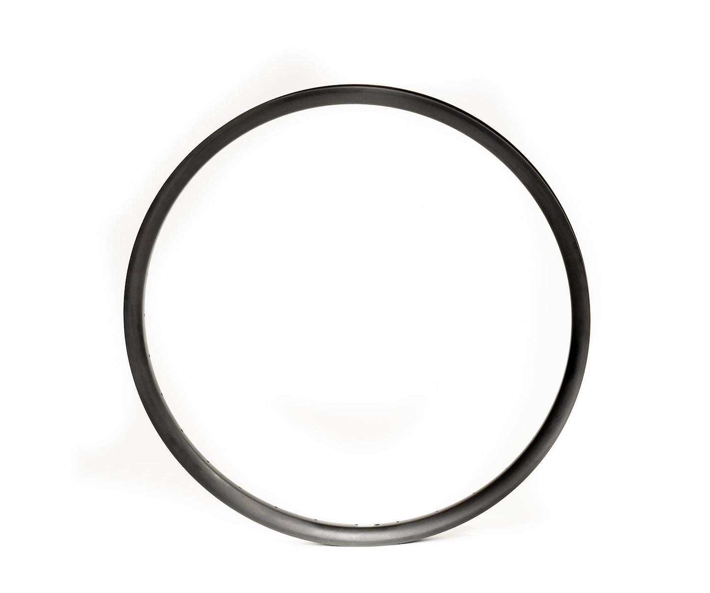 SpokeX - SX310, Carbon Rim