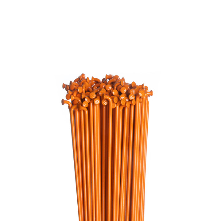 Custom Spokes