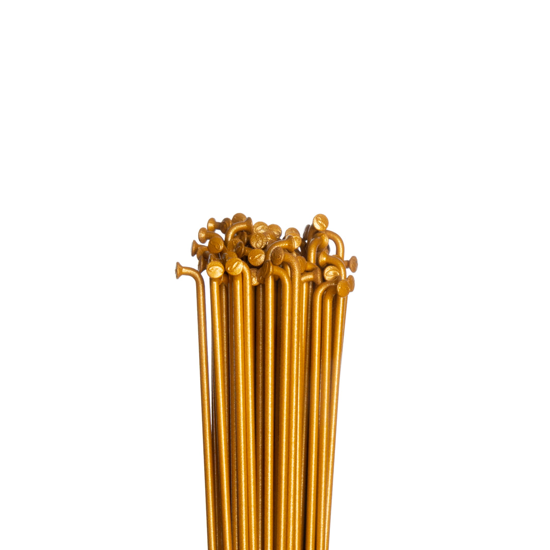Custom Spokes