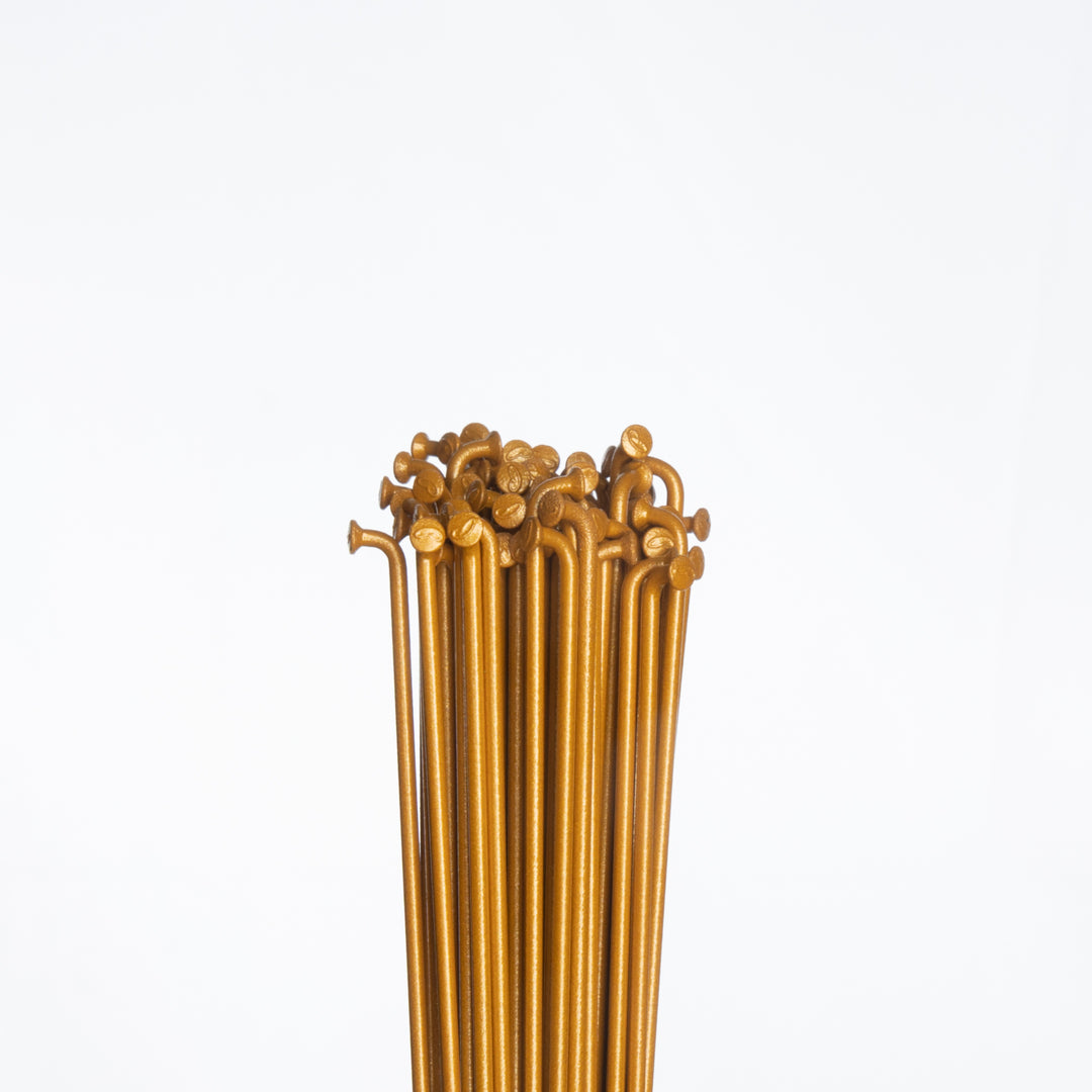 Custom Spokes