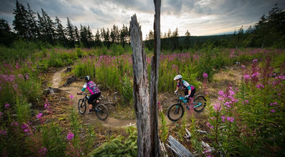Mountain Biking in the Pacific Northwest: A Thrilling Adventure Amidst Nature's Majesty