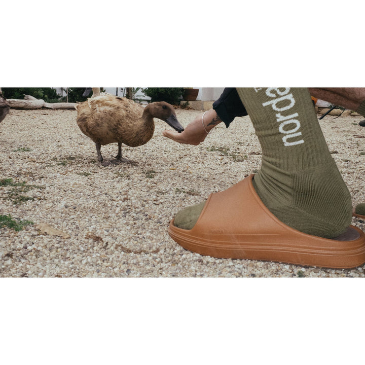 norda 008 Slide