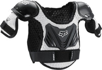 Black/silver
