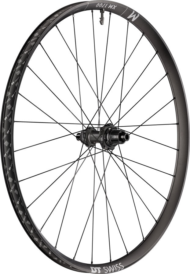 DT Swiss XM 1700 Spline 30 Rear Wheel - 29" 12 x 148mm Center-Lock Micro Spline 12M DEG 72 DF BLK