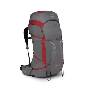 Dale Grey/Poinsettia Red