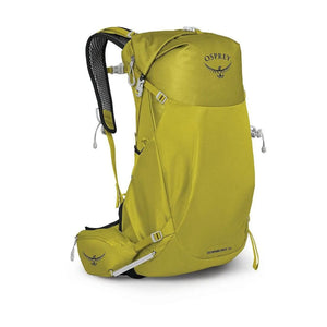 Babylonica Yellow