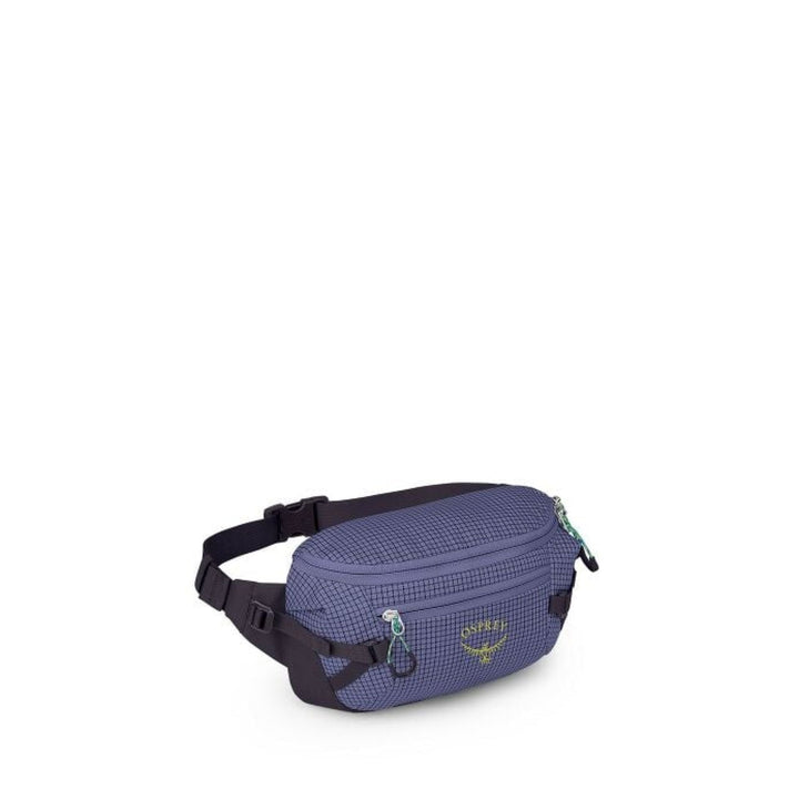 Osprey Transporter Waist Pack