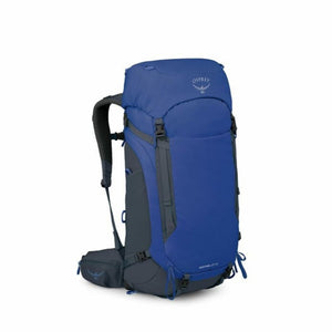 Rays Blue