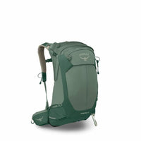 Pine Leaf Green