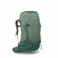 Pine Leaf Green