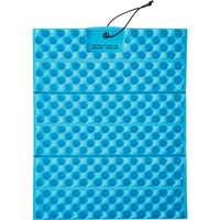 Blue / Silver