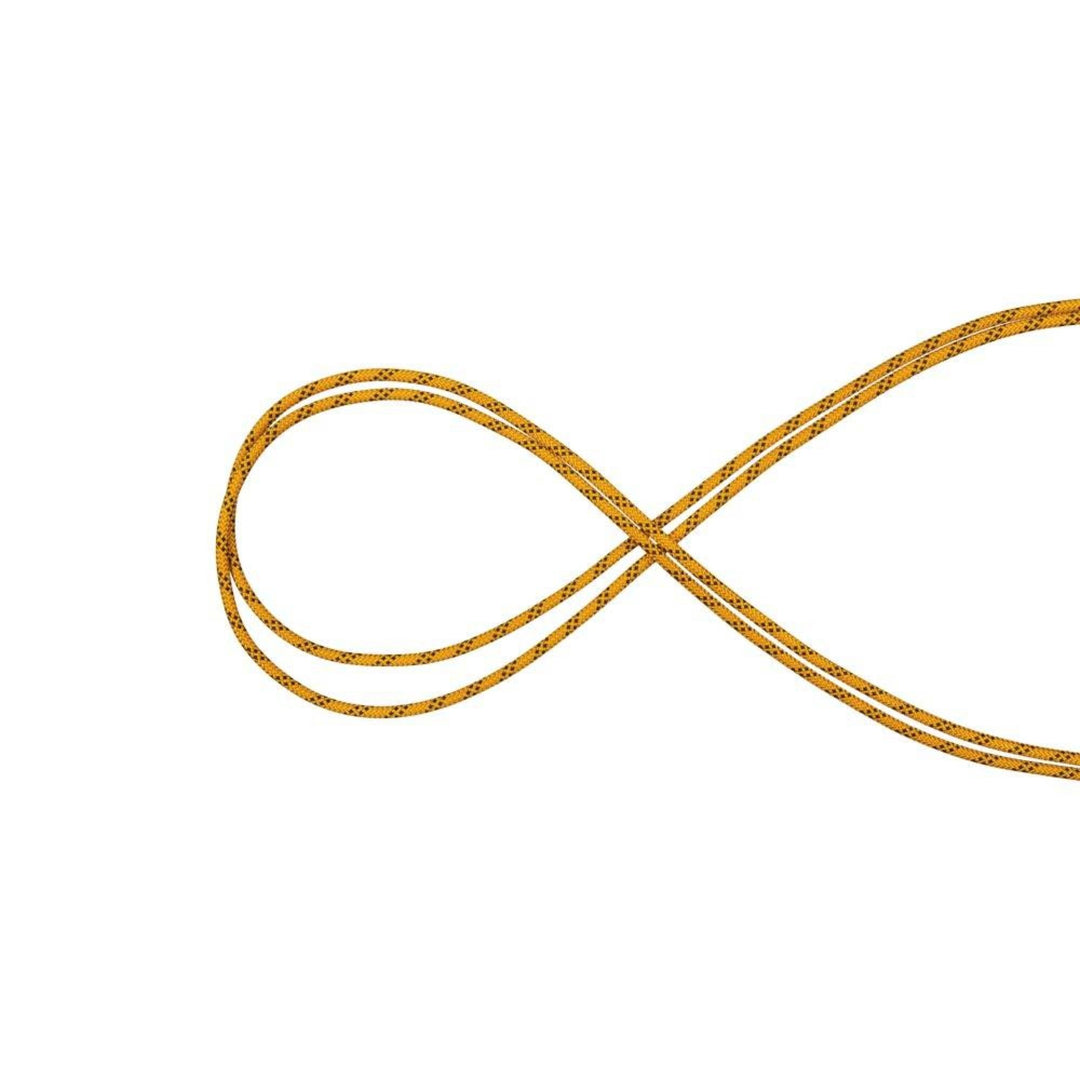 Mammut 10.0 Performance Static 200m