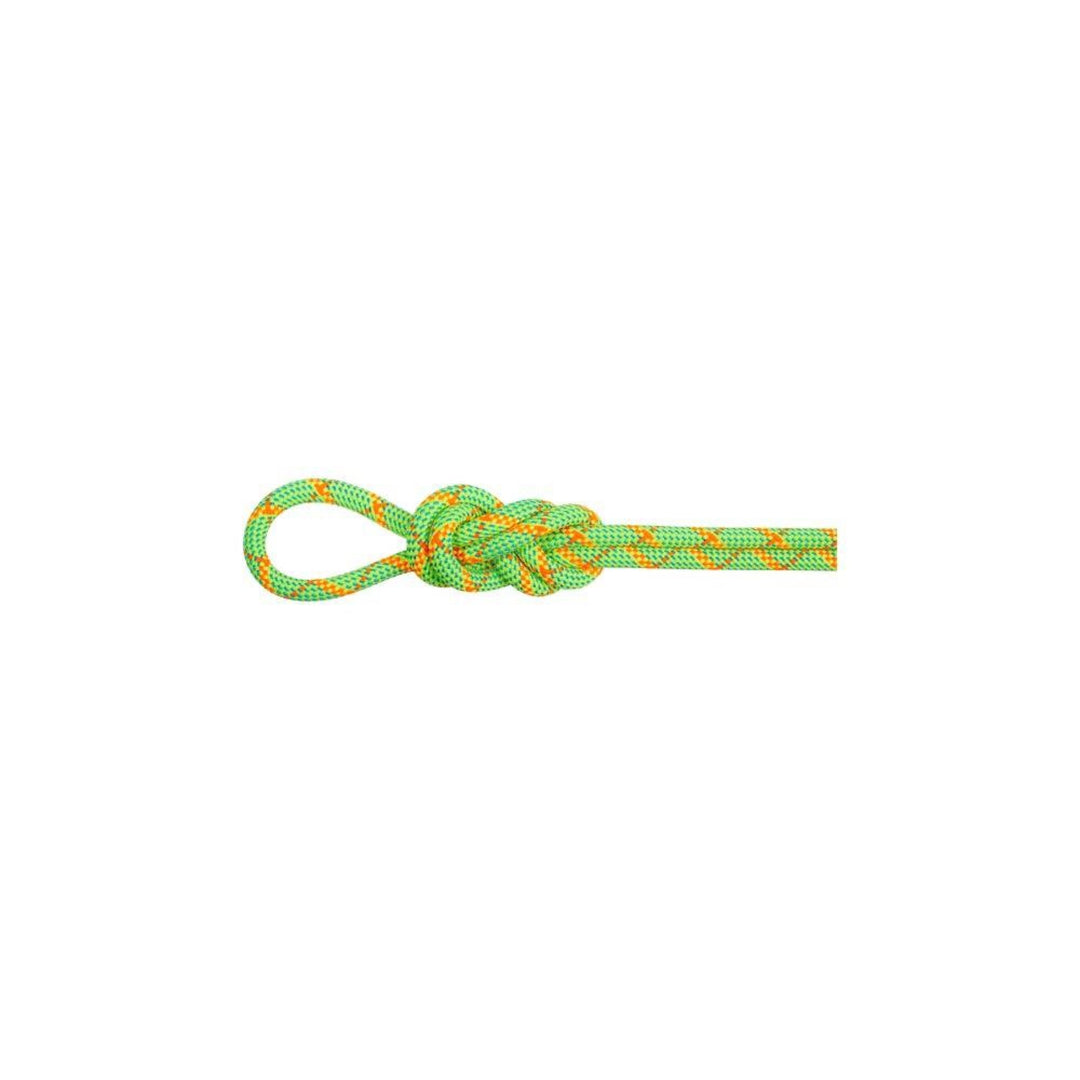 Mammut 8.0 Alpine Core Protect Dry Rope 50m