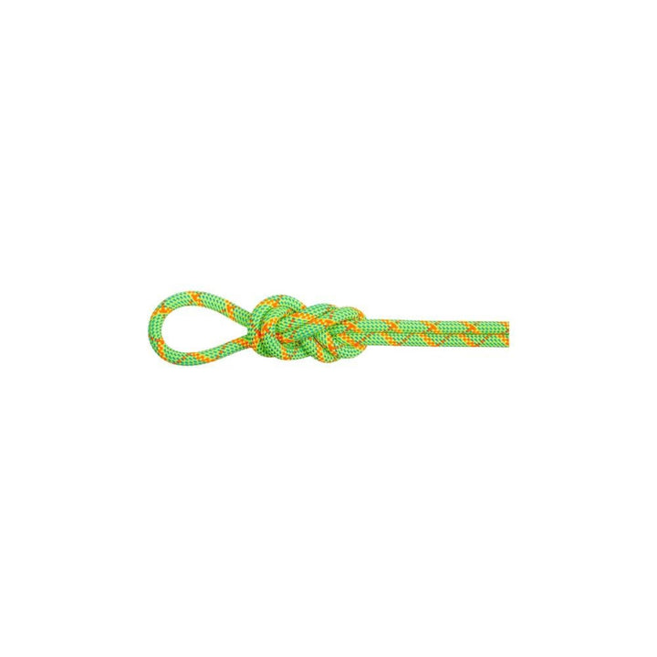 Mammut 8.0 Alpine Core Protect Dry Rope 50m