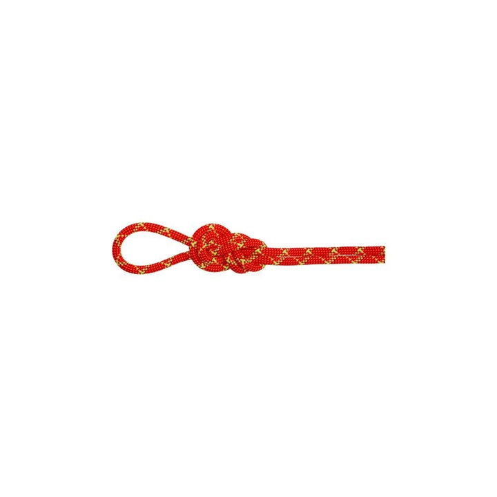 Mammut 8.0 Alpine Core Protect Dry Rope 50m
