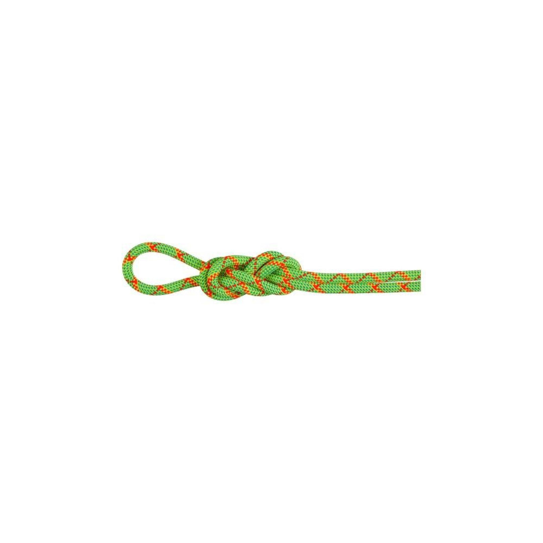 Mammut 8.0 Alpine Core Protect Dry Rope 60m