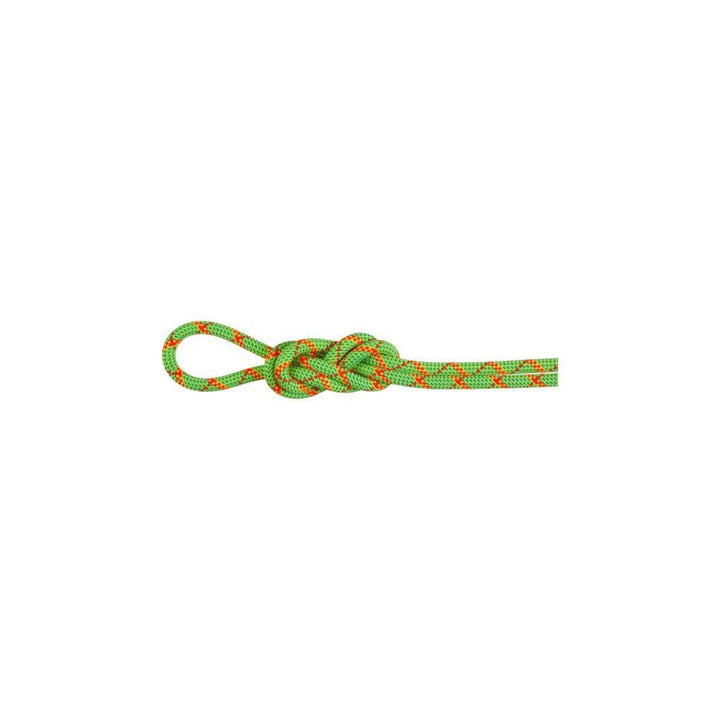 Mammut 8.0 Alpine Core Protect Dry Rope 60m