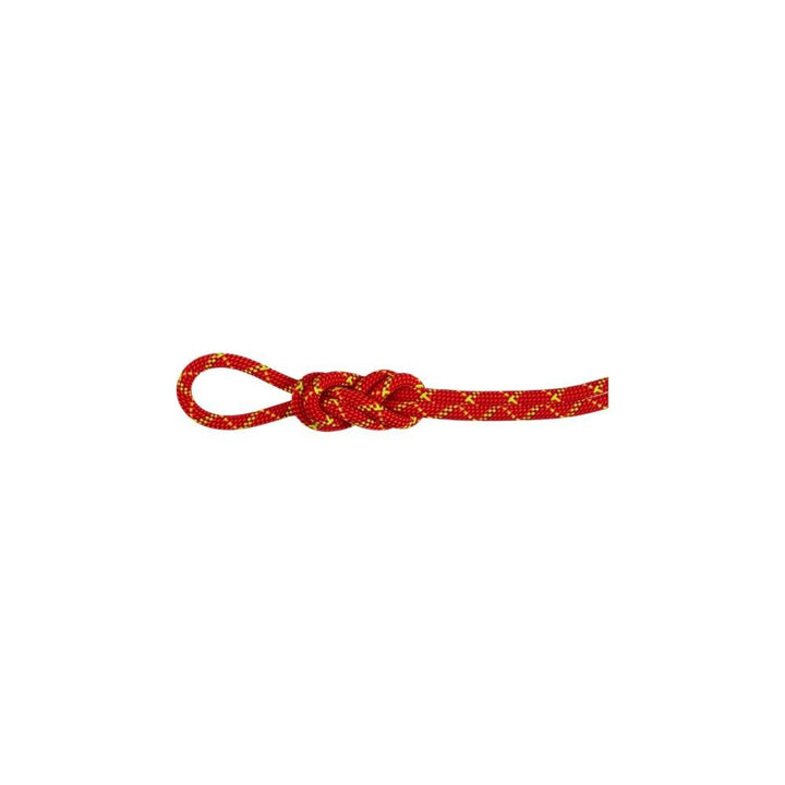 Mammut 8.0 Alpine Core Protect Dry Rope 60m