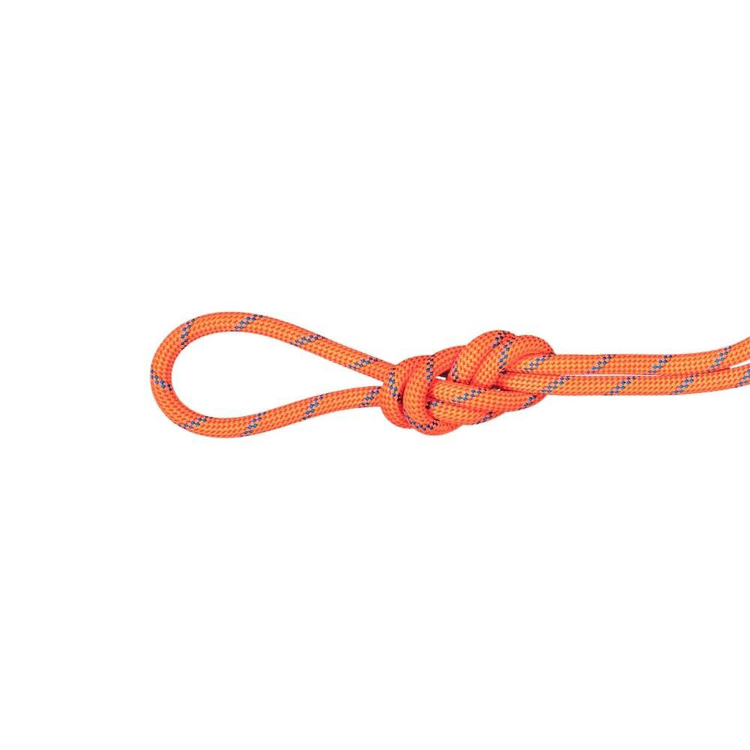 Mammut 7.5 Alpine Sender Dry Rope 70m