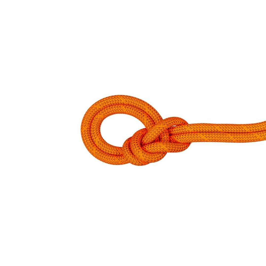 Mammut 9.8 Crag Dry Rope 60m