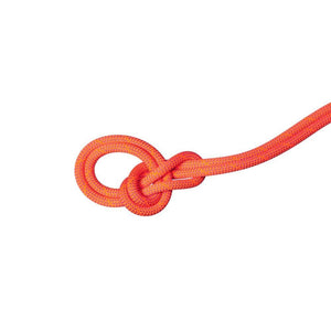 Vibrant Orange/Lavandin