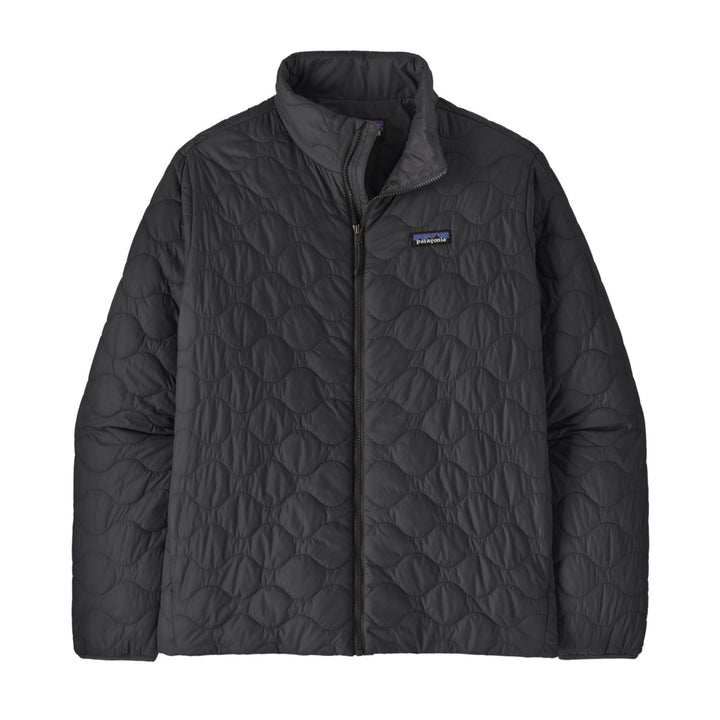 Patagonia Men's Heyes Peak Jacket