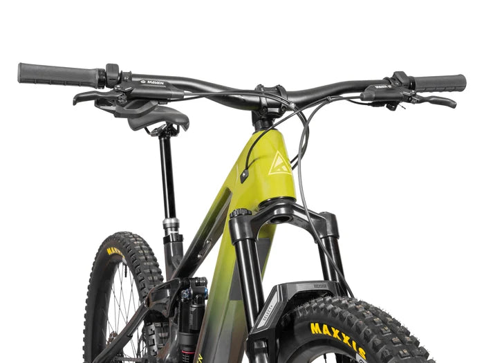 Forbidden Druid E Tier 3 - 800wh - E Bike