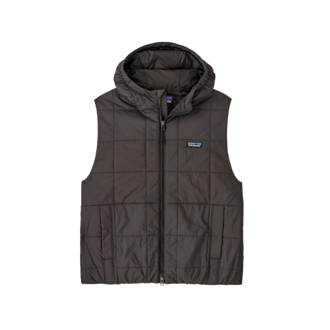 Patagonia Women's Light Gust Hooded Vest