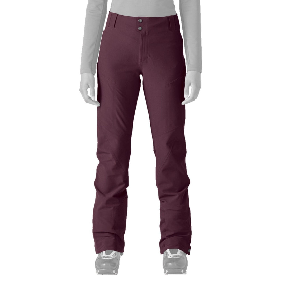 Patagonia Women's Ridge Stride Pants