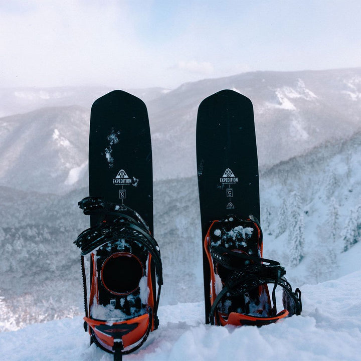 Union Binding Company Rover Carbon Approach Skis