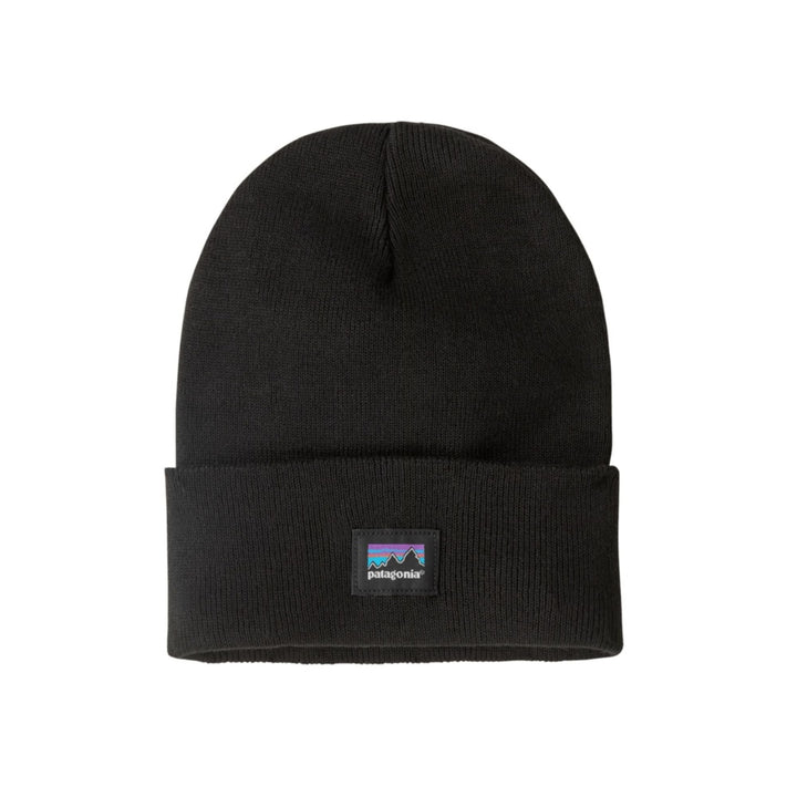 Patagonia Everyday Beanie