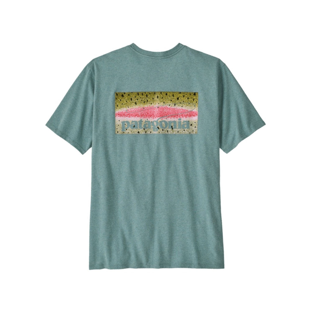 Patagonia Men's Take a Stand Responsibili-Tee