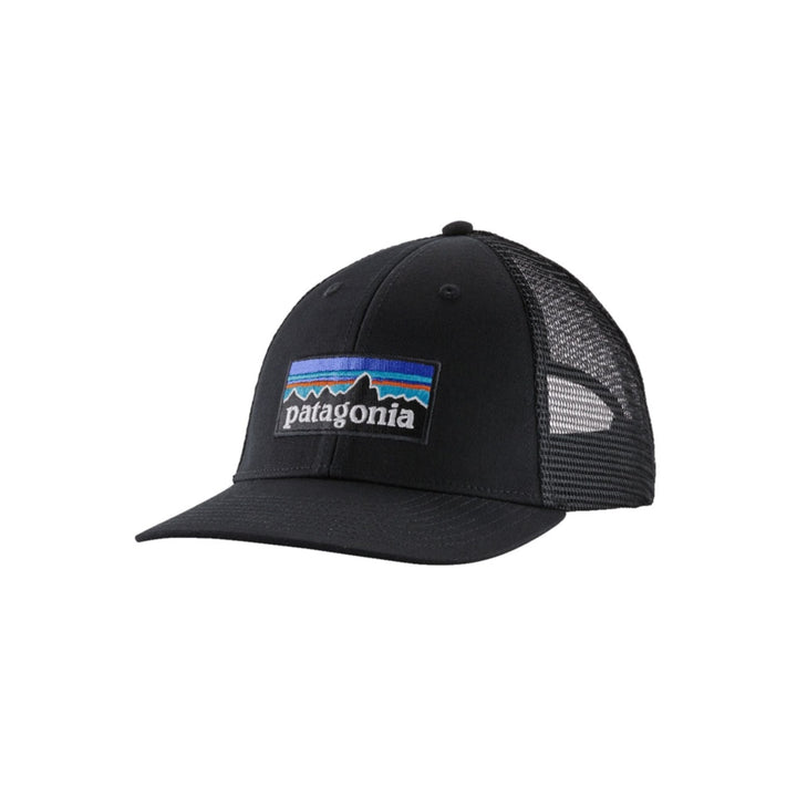 Patagonia P-6 Logo LoPro Trucker Hat