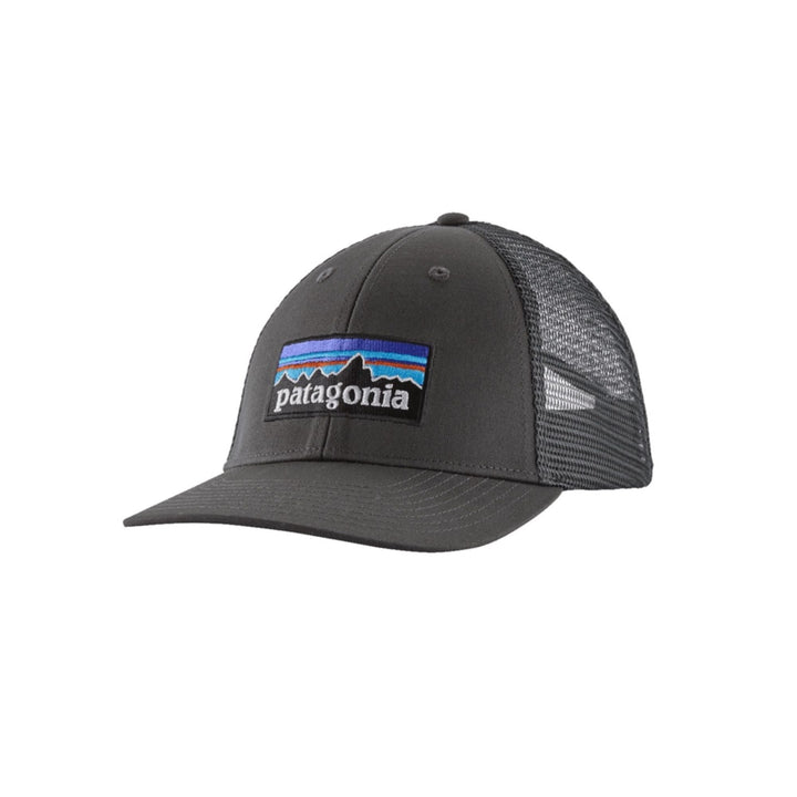 Patagonia P-6 Logo LoPro Trucker Hat