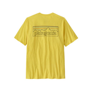 P-6 Outline: Lemon Zest
