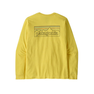 P-6 Outline: Lemon Zest