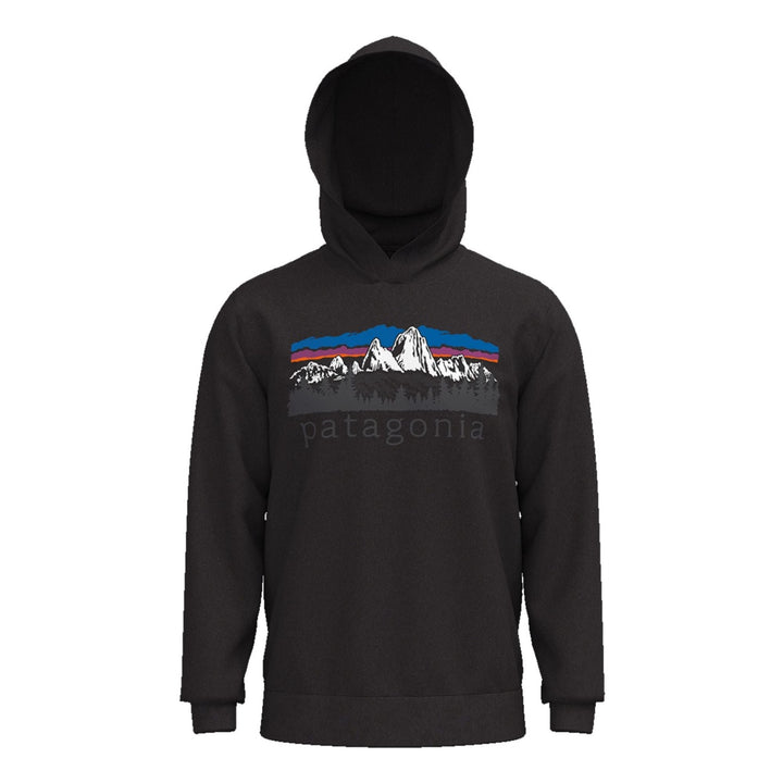 Patagonia Men's Fitz Roy Foothills Daily Hoodie