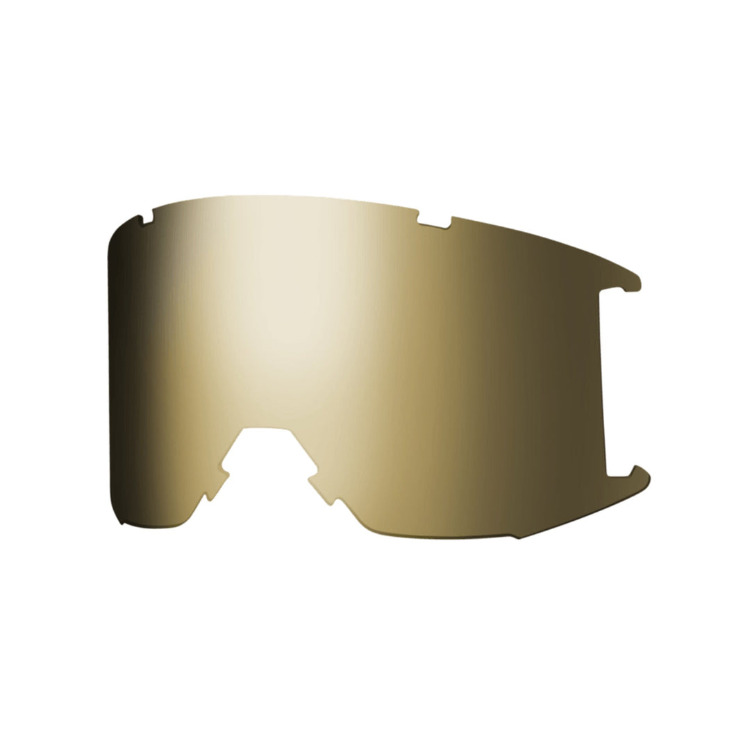 Smith Squad 2015 Replacement Lens