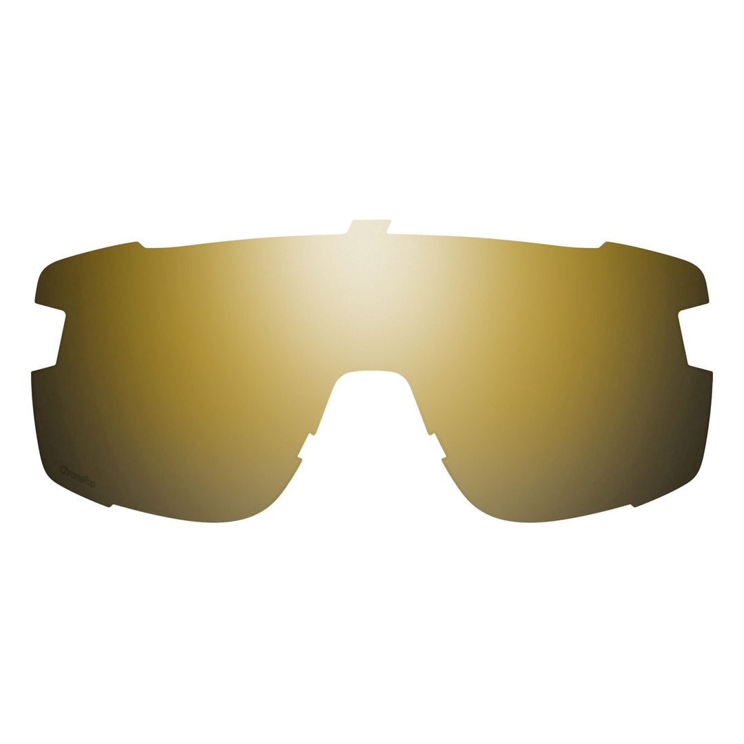 Smith Wildcat Replacement Lens