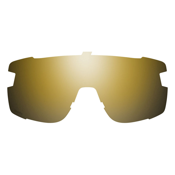 Smith Wildcat Replacement Lens