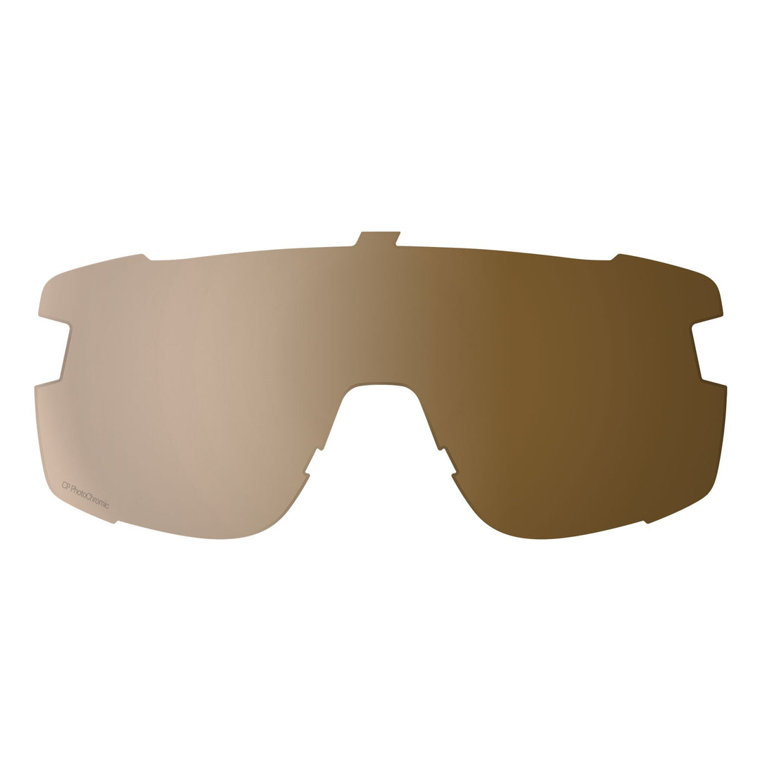 Smith Wildcat Replacement Lens