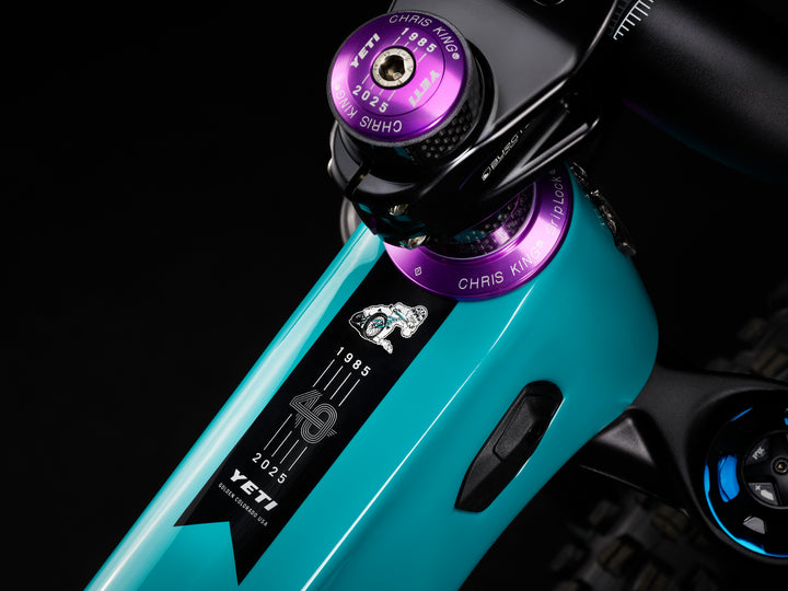 SB160 TEAM ISSUE XTR Di2 - 40th Anniversary