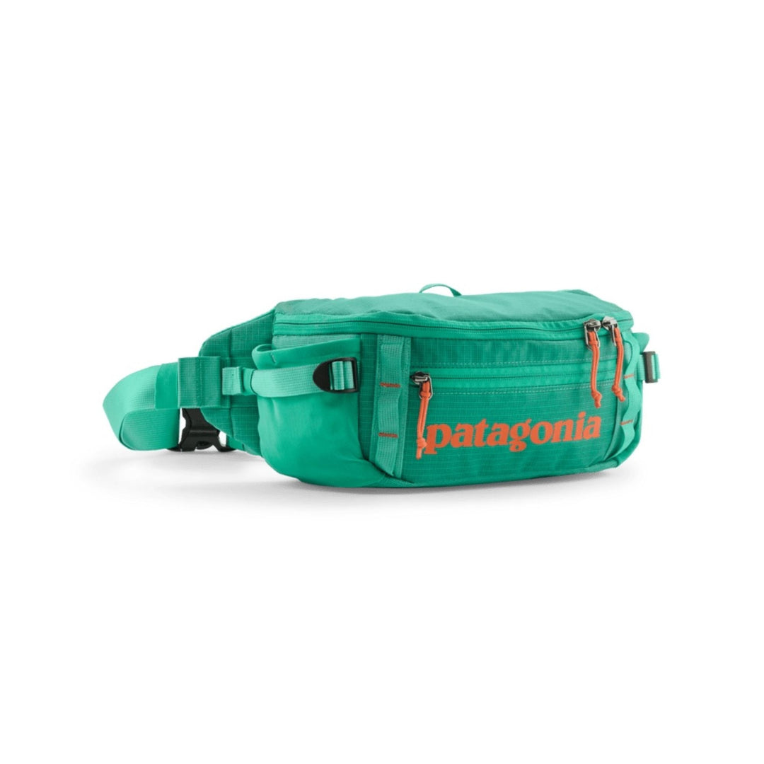 Patagonia Black Hole Waist Pack 5L