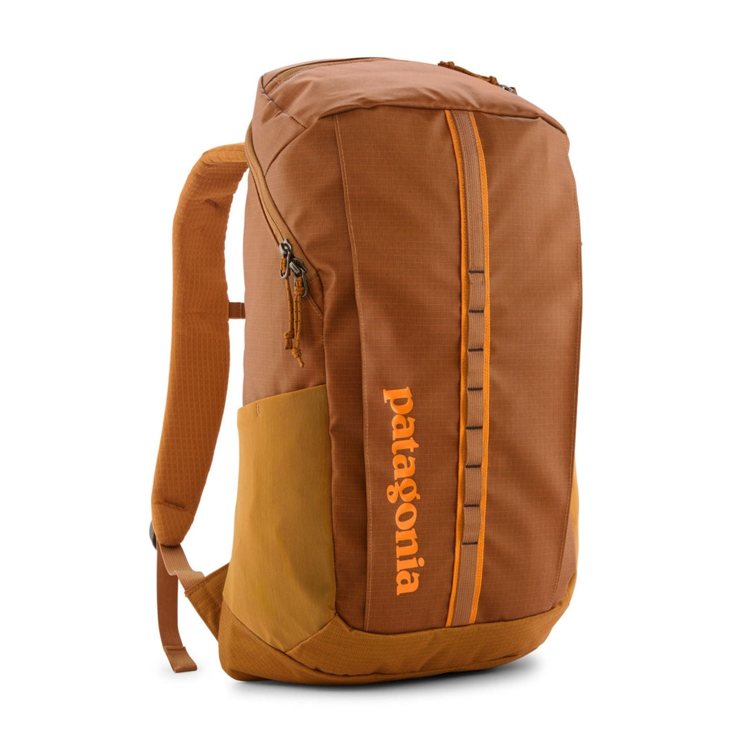 Patagonia Black Hole Pack 25L